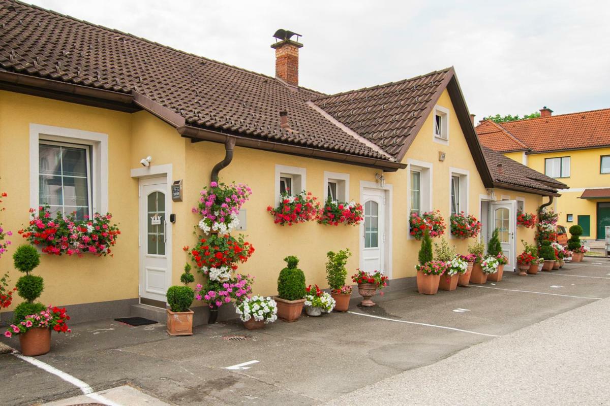 Apartament Auszeit Leoben 1 Mit Terasse Und Gratis Parkplatz Zewnętrze zdjęcie